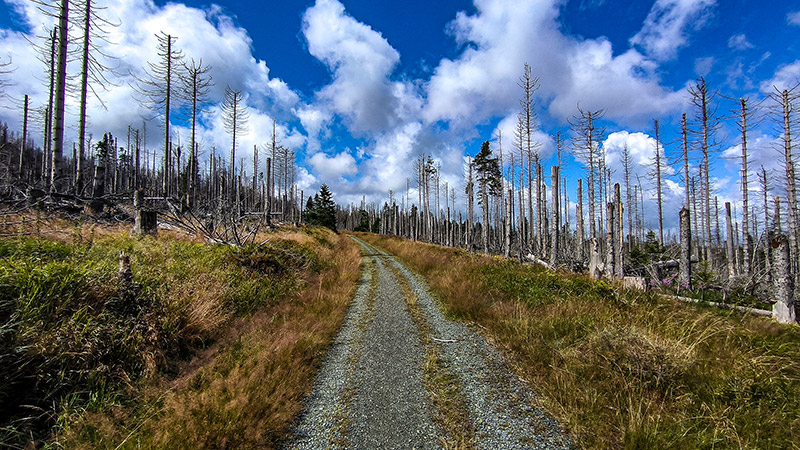 Brocken 7