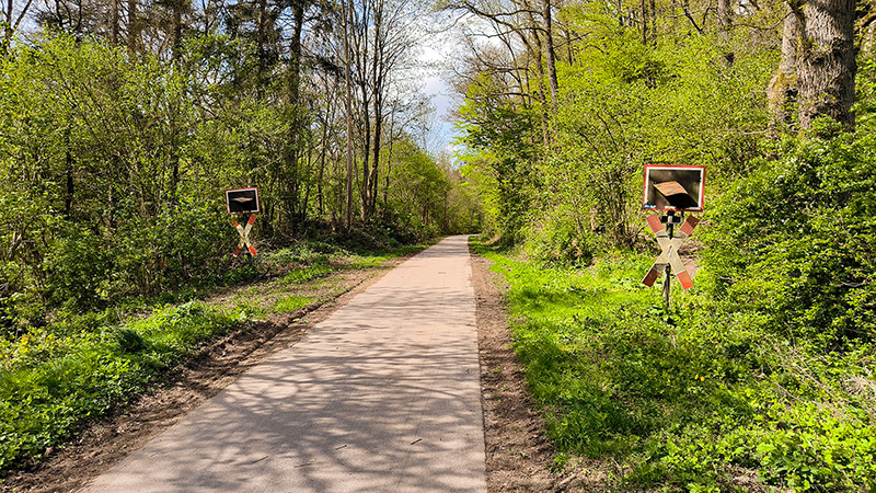 SauerlandRadring1 1
