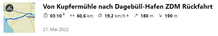 ZDM Tag31