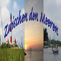 zdm