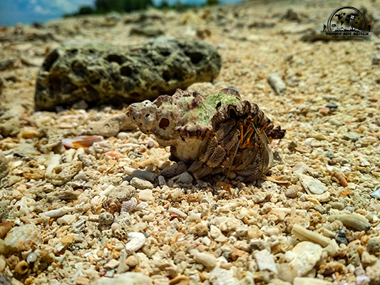 Thailand20
